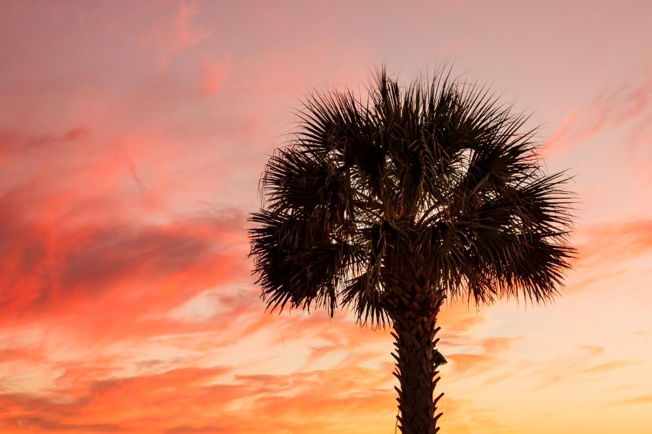 1314 Pelican Watch - Seabrook Island - Beachfront 5 Star Condo - Fido Friendly Extérieur photo