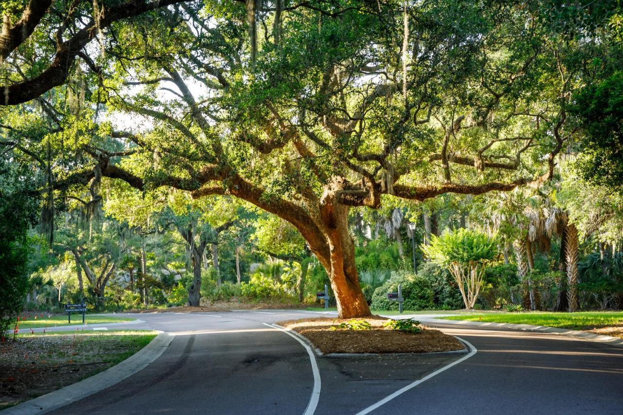 1314 Pelican Watch - Seabrook Island - Beachfront 5 Star Condo - Fido Friendly Extérieur photo