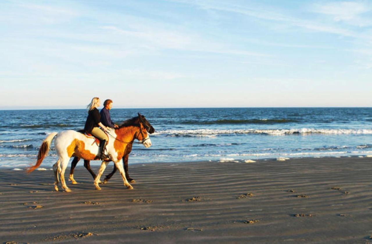 1314 Pelican Watch - Seabrook Island - Beachfront 5 Star Condo - Fido Friendly Extérieur photo